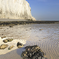 Buy canvas prints of Beach at Cuckmere Haven by Andrew Ray