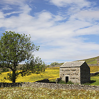 Buy canvas prints of Barns at Thwaite by Andrew Ray