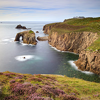 Buy canvas prints of Heather on Pordennack Point (Land's End) by Andrew Ray