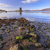 Buy canvas prints of Rocky Shore (Castle Stalker) by Andrew Ray