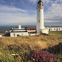 Buy canvas prints of Heather at Mull of Galloway by Andrew Ray
