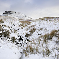 Buy canvas prints of Snow at Pen-y-ghent by Andrew Ray