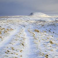 Buy canvas prints of Track toward Pen-y-ghent by Andrew Ray