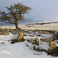 Buy canvas prints of Snow at the Winskill Stones by Andrew Ray