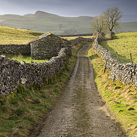 Buy canvas prints of Barn at Goat Scar Lane by Andrew Ray