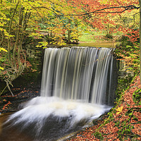Buy canvas prints of Autumn colour (Nant Mill Waterfall) by Andrew Ray