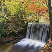 Buy canvas prints of Nant Mill Waterfall view. by Andrew Ray