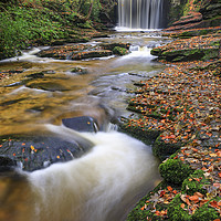 Buy canvas prints of Stream at waterfall (Nant Mill) by Andrew Ray