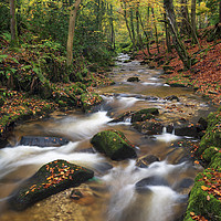 Buy canvas prints of Nant Mill Stream by Andrew Ray