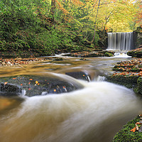 Buy canvas prints of Autumn at Nant Mill Waterfall by Andrew Ray