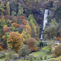 Buy canvas prints of Autumnal view (Pistyll Rhaeadr) by Andrew Ray