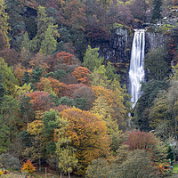 Buy canvas prints of Autumn at Pistyll Rhaeadr Waterfall by Andrew Ray