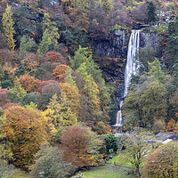 Buy canvas prints of Autumnal trees at Pistyll Rhaeadr by Andrew Ray