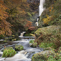 Buy canvas prints of The Afron Rhaeadr under Pistyll Rhaeadr by Andrew Ray
