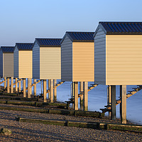Buy canvas prints of Osea beach huts by Andrew Ray