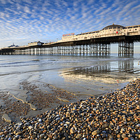 Buy canvas prints of Palace Pier at low tide (Brighton) by Andrew Ray