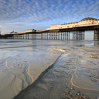 Buy canvas prints of Towards Palace Pier (Brighton) by Andrew Ray