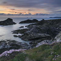 Buy canvas prints of Spring view (Porth Mear) by Andrew Ray