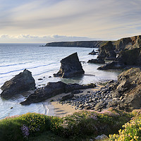 Buy canvas prints of Thift and Kidney Vetch above Bedruthan Steps by Andrew Ray