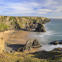 Buy canvas prints of Spring flora (Bedruthan Steps) by Andrew Ray