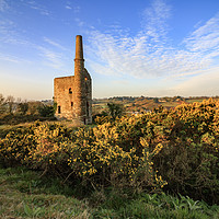 Buy canvas prints of Gorse at Wheal Unity Wood Mines by Andrew Ray