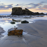 Buy canvas prints of Towards Chapel Rock (Perranporth) by Andrew Ray