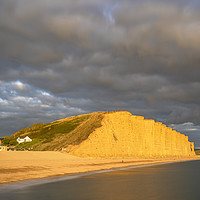 Buy canvas prints of Evening light on East Cliff (West Bay) by Andrew Ray