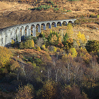 Buy canvas prints of Glenfinnan Viaduct by Andrew Ray