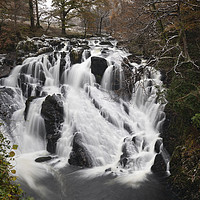 Buy canvas prints of Swallow Falls on Afon Llugwy by Andrew Ray