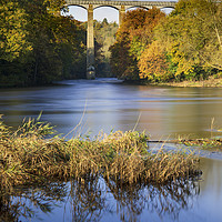 Buy canvas prints of Autumn at the Pontcysyllte Aqueduct by Andrew Ray