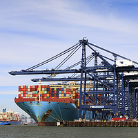 Buy canvas prints of Felixstowe Container Port by Andrew Ray