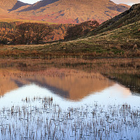 Buy canvas prints of Kelly Hall Tarn reflectIons by Andrew Ray