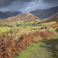 Buy canvas prints of Footpath to the Tongue by Andrew Ray