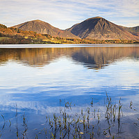 Buy canvas prints of Reeds on Loweswater by Andrew Ray