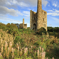 Buy canvas prints of Summer evening (Wheal Peevor) by Andrew Ray