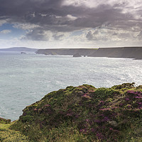 Buy canvas prints of Summer morning (North Cliffs) by Andrew Ray