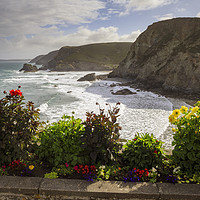 Buy canvas prints of Floral display (St Agnes) by Andrew Ray