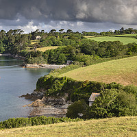Buy canvas prints of Toll Point view (River Helford) by Andrew Ray