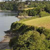 Buy canvas prints of Helford Coast Path by Andrew Ray