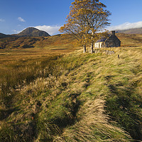 Buy canvas prints of Tree and House (Loch Loyal) by Andrew Ray