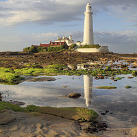 Buy canvas prints of Low tide at St Mary's Lighthouse  by Andrew Ray