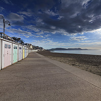 Buy canvas prints of Beach huts at Lyme Regis by Andrew Ray