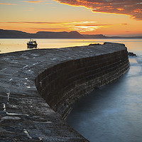 Buy canvas prints of Towards sunrise (The Cobb) by Andrew Ray
