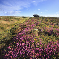 Buy canvas prints of Heather at Chun Quoit by Andrew Ray