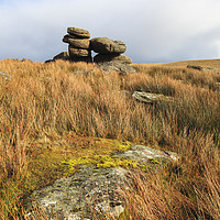 Buy canvas prints of Black Tor (Dartmoor) by Andrew Ray