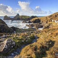 Buy canvas prints of Path to Kynance Cove  by Andrew Ray