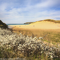 Buy canvas prints of Spring at Holywell by Andrew Ray