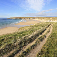 Buy canvas prints of Coast Path to Holywell by Andrew Ray