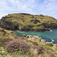 Buy canvas prints of Heather at Tintagel by Andrew Ray