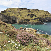 Buy canvas prints of Heather at Tintagel Castle by Andrew Ray